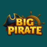 BigPirate logo
