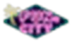 FunzCity logo