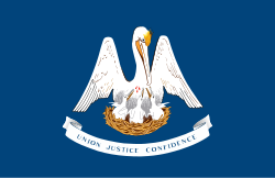 Louisiana flag