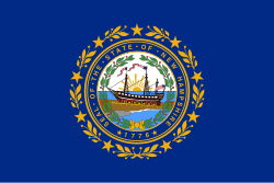 New Hampshire flag
